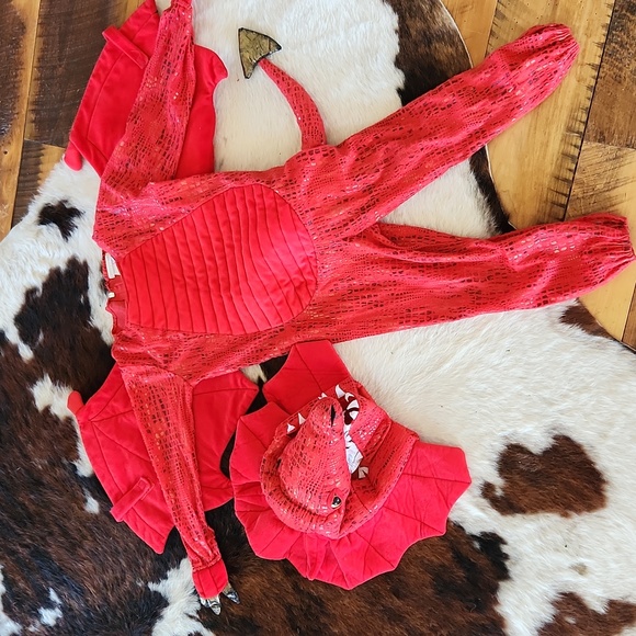 Pottery Barn Costumes Pottery Barn Dragon Costume Poshmark